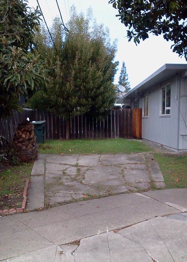This is your  driveway and parking with a private fenced yard beyond.