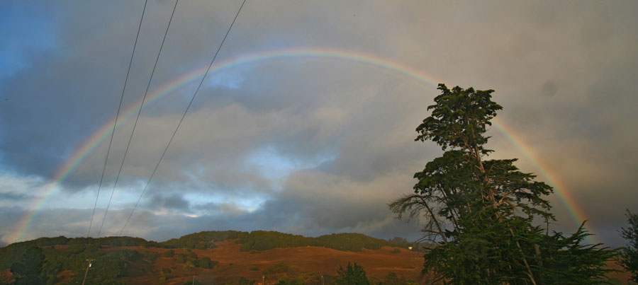View off the deck after a storm.