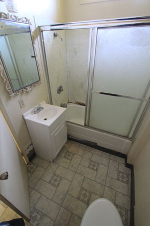 The bathroom could use some attention, but works.